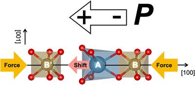 Atomic positions and displacements in piezoelectric materials Ca3TaGa3Si2O14 and Ca3TaGa1.5Al1.5Si2O14 investigated by Ta-Lα X-ray fluorescence holography